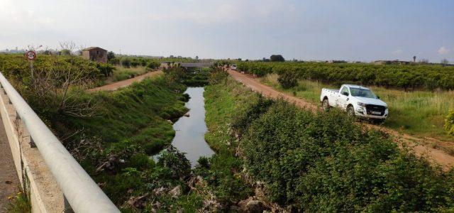 Vila-real reforça els seus tractaments per combatre les plagues de mosquito després de les últimes pluges