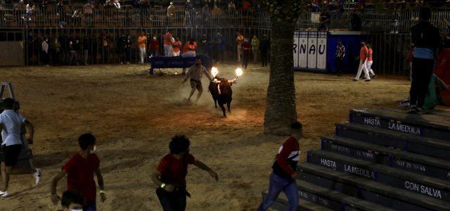 9 d’octubre taurí a Vila-real amb desafiament de ramaderies i exhibició d’emboladors