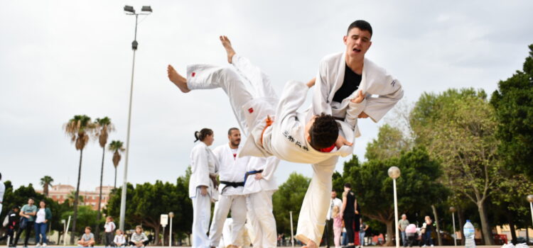 El parc de la Maiorasga acull aquest matí una exhibició de judo