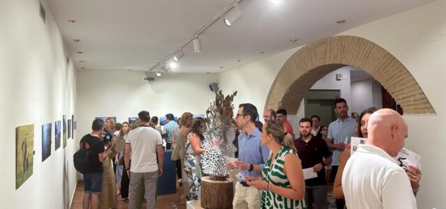 Vila-real ofereix als artistes exposar pel 750é aniversari de la fundació de la ciutat