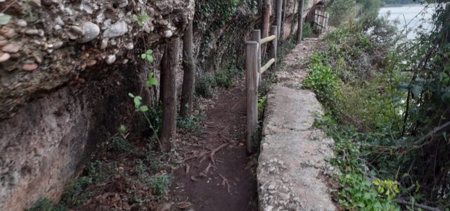 La ruta Botànica del Paisatge Protegit de la Desembocadura del riu Millars torna a estar oberta després dels problemes provocats per les pluges