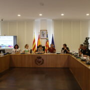 Vila-real prepara el dispositiu de seguretat per a les festes de la Mare de Déu de Gràcia