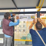 Vila-real reafirma el seu compromís amb una mobilitat inclusiva amb pictogrames al bus Groguet