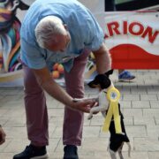 Éxit del concurs organitzat per la societat canina de Castelló: celebració del gos Rater Valencià