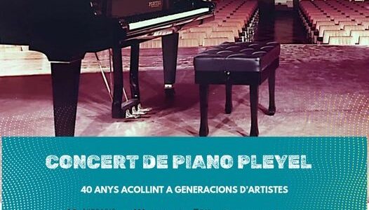 Gran vetllada musical a Vila-real per commemorar les quatre dècades del piano Pleyel