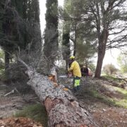 Les unitats de bombers i bomberes forestals reforcen la neteja de l’entorn natural després de les tempestes