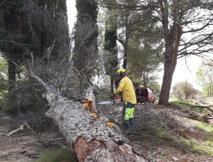 Les unitats de bombers i bomberes forestals reforcen la neteja de l’entorn natural després de les tempestes