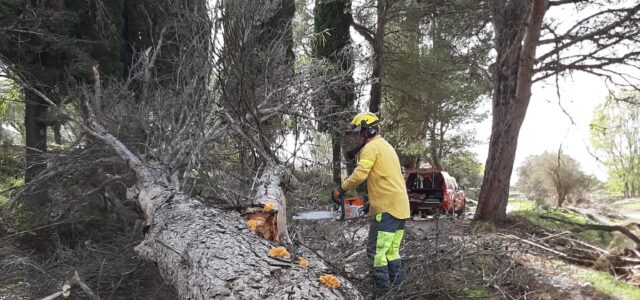 Les unitats de bombers i bomberes forestals reforcen la neteja de l’entorn natural després de les tempestes