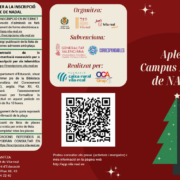 Vila-real llança una nova edició de l’Aplec de Nadal i Campus Natura per a facilitar la conciliació familiar durant les vacances escolars