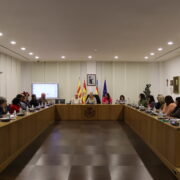 Vila-real informa sobre la nova taxa de residus en una reunió amb el Consell de Participació Ciutadana