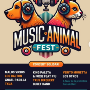 El 25 de gener de 2025, Vila-real acull el Music Animal Fest, un concert solidari a favor de Gats de Barri