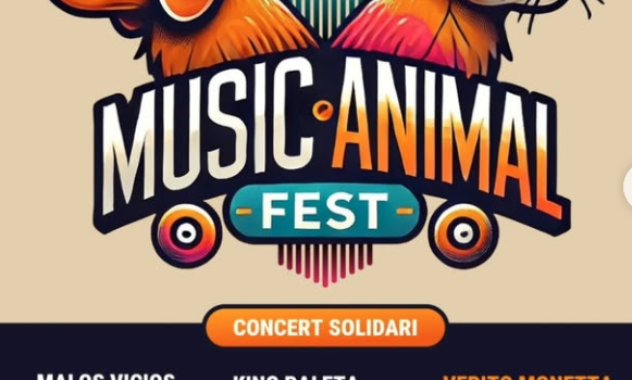 El 25 de gener de 2025, Vila-real acull el Music Animal Fest, un concert solidari a favor de Gats de Barri