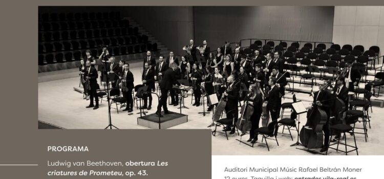 Beethoven i Mendelssohn sonen a Vila-real amb l’Orquestra Art Creare i Luigi Borzillo