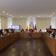 Vila-real premia la cultura, l’esport i l’economia en els Premis 20 de Febrer 2025